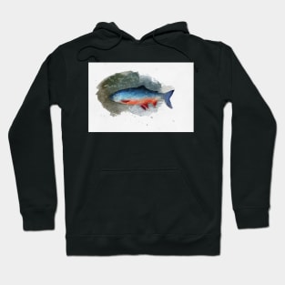 Arctic Char Hoodie